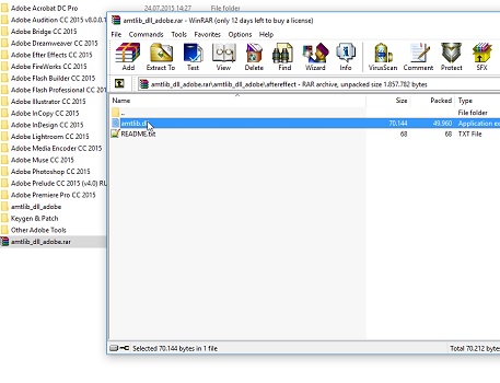 Amtlib DLL Serial key