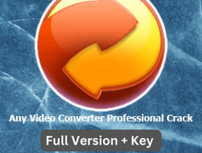 Any Video Converter Professional Crack