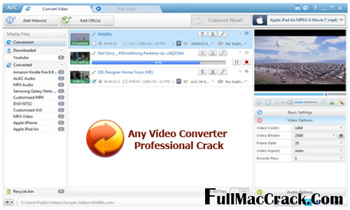 Any Video Converter Professional Serial key