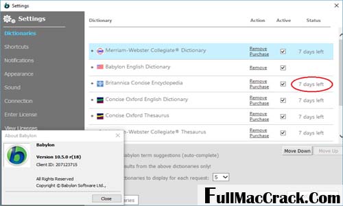 Babylon Pro NG License Key